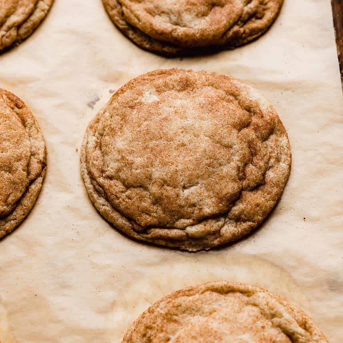 Snickerdoodle Cookie